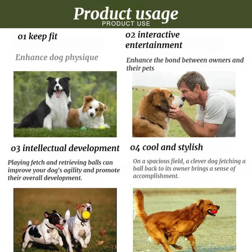 Lanceur de balle pour chien -bazooka