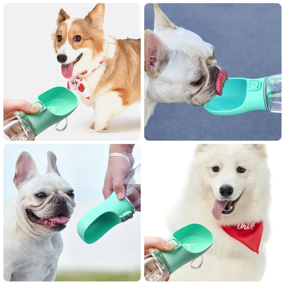 gourde portable pour animaux de compagnie