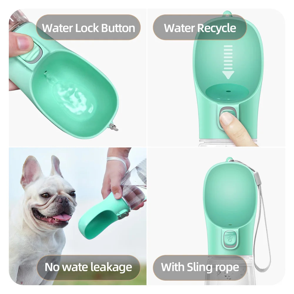 gourde portable pour animaux de compagnie